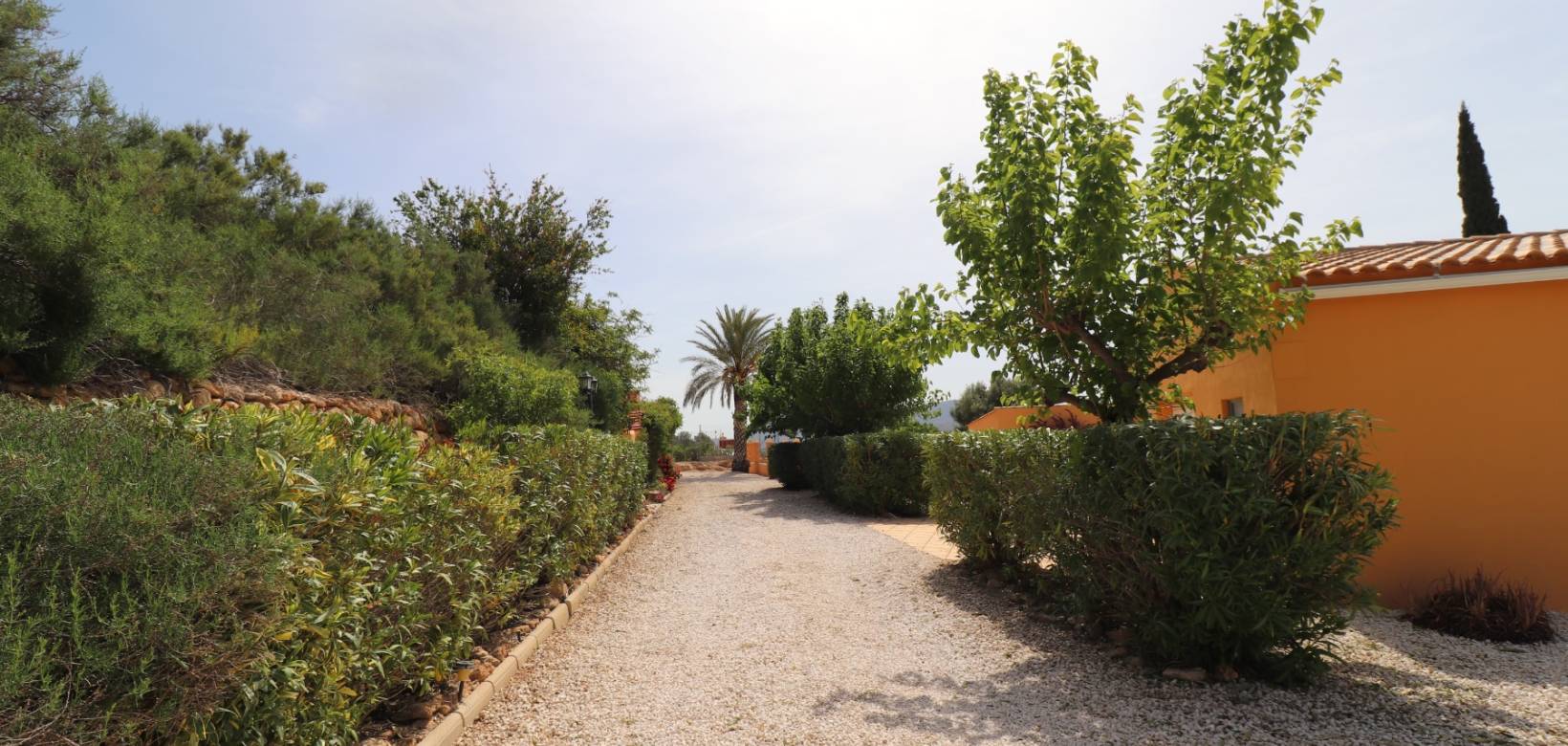 Venta - Finca - Country Property - Hondón de las Nieves - La Canalosa