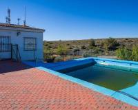 Venta - Finca - Santomera