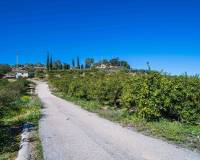 Venta - Finca - Santomera