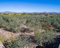 Venta - Finca - Santomera