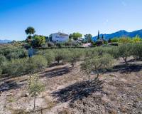 Venta - Finca - Santomera