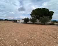 Venta - Finca - Sax