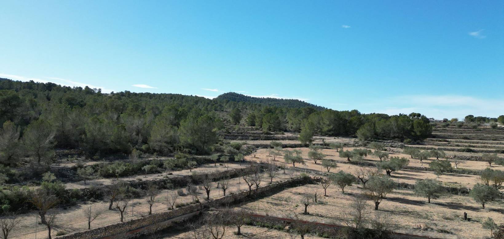 Venta - Grond - Monovar