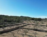 Venta - Grond - Monovar