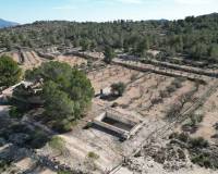 Venta - Grond - Monovar