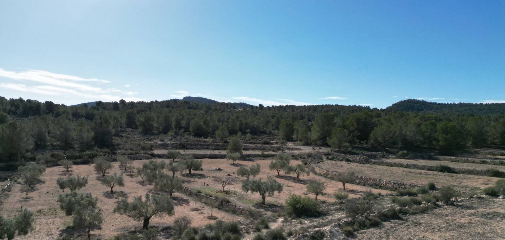 Venta - Grond - Monovar