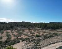 Venta - Grond - Monovar