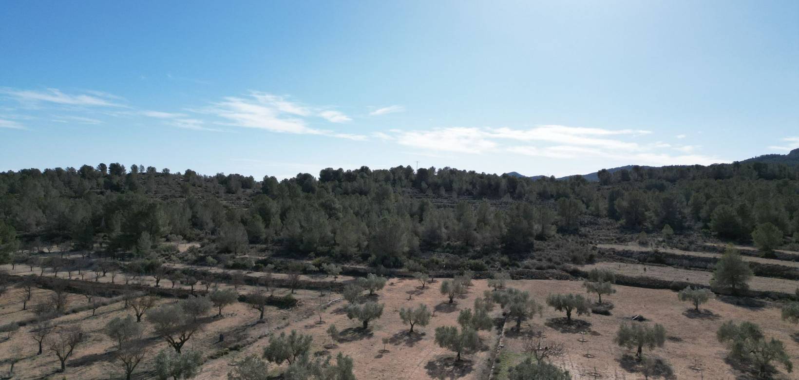 Venta - Grond - Monovar