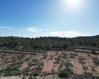 Venta - Grond - Monovar