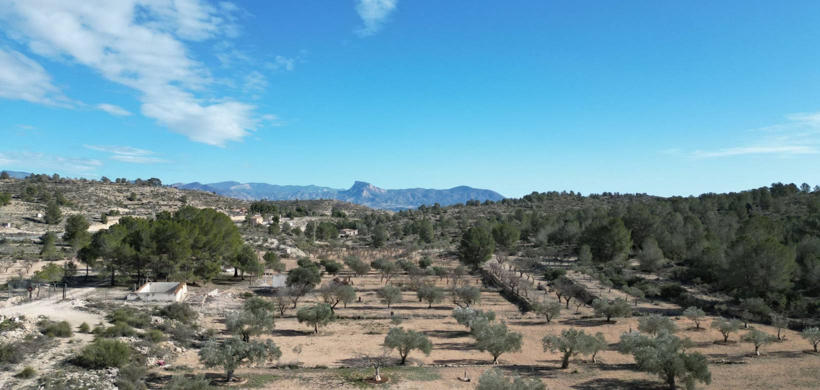 Venta - Grond - Monovar