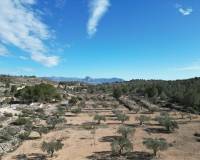 Venta - Grond - Monovar