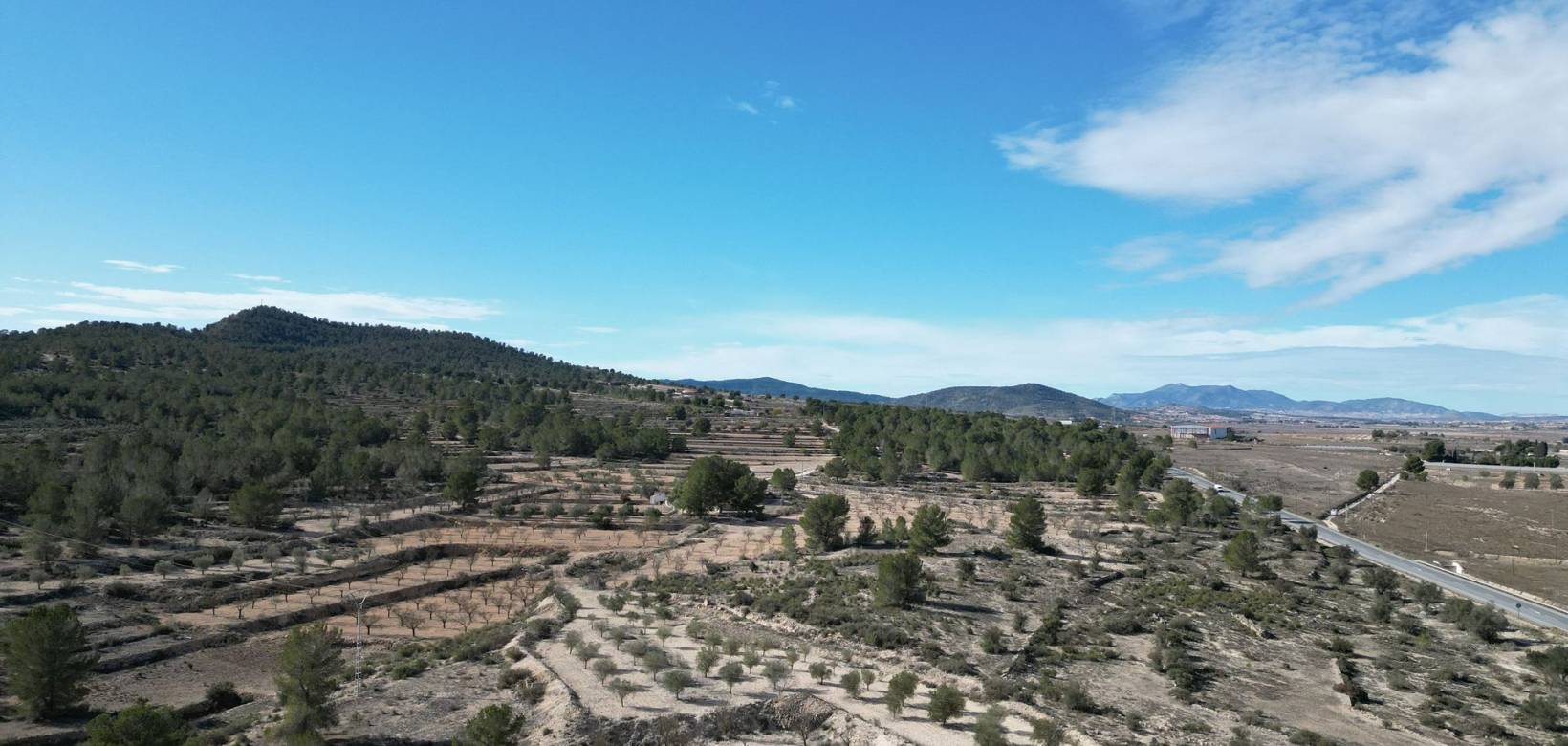 Venta - Grond - Monovar