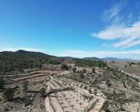 Venta - Grond - Monovar