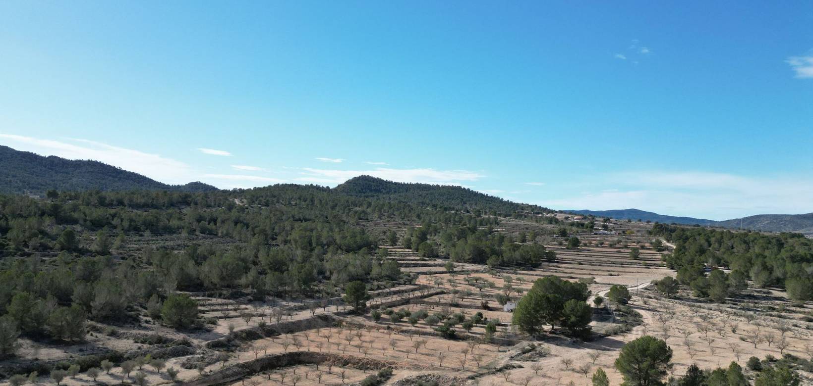 Venta - Grond - Monovar