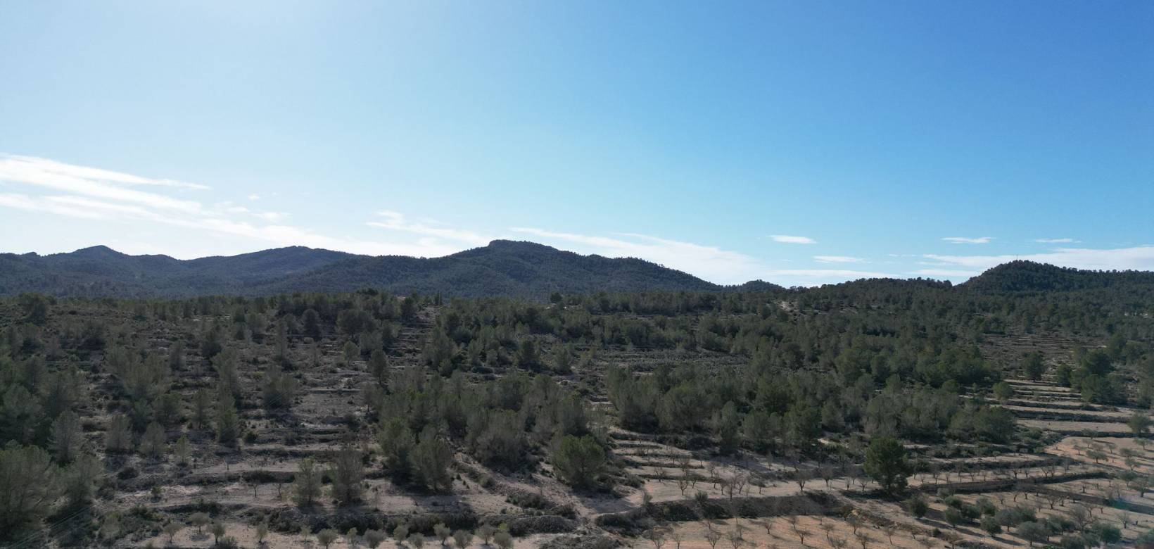 Venta - Grond - Monovar