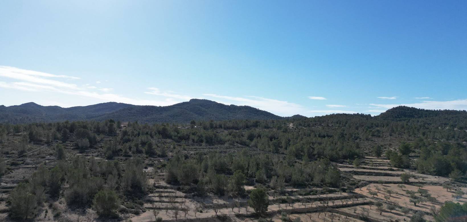 Venta - Grond - Monovar