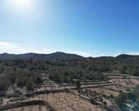 Venta - Grond - Monovar