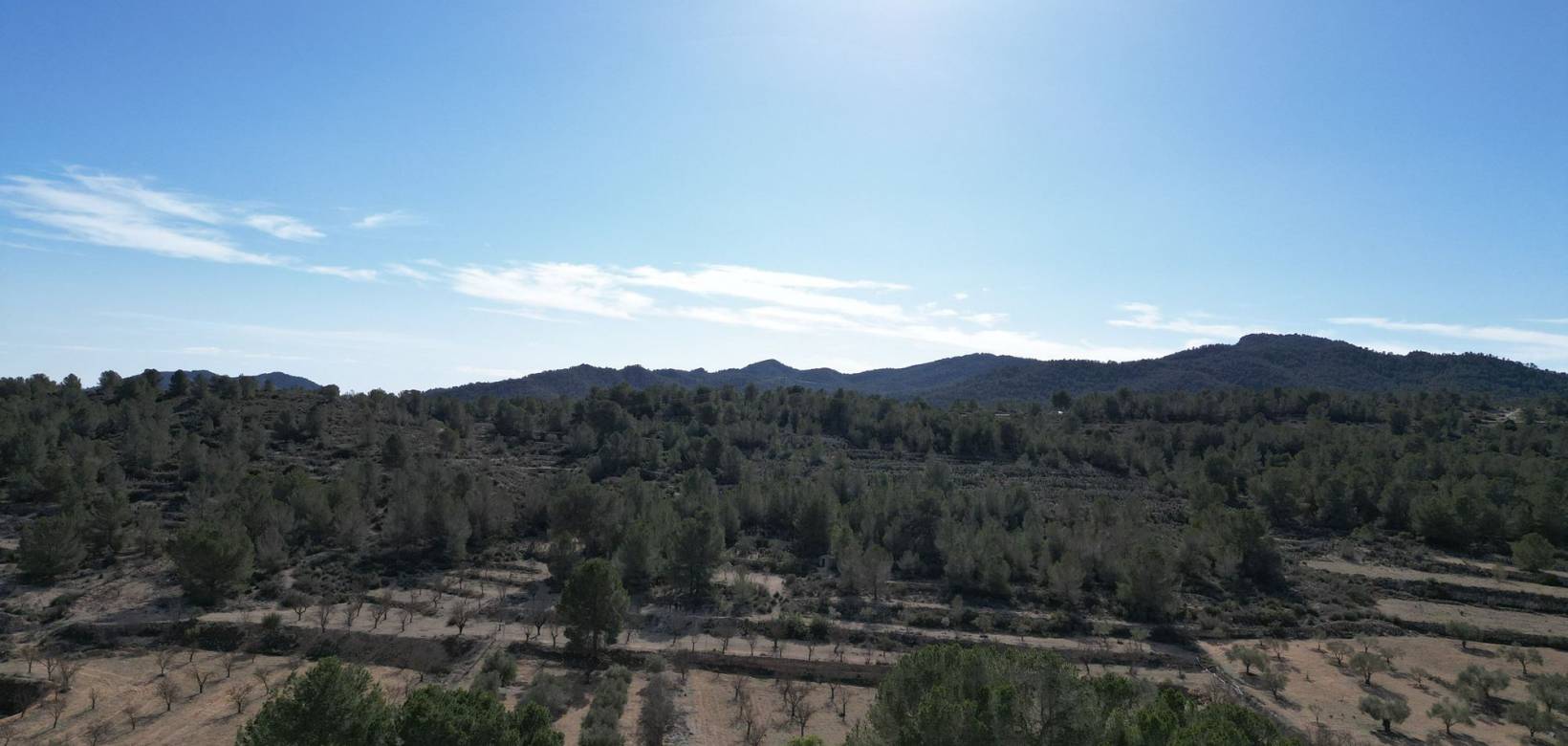 Venta - Grond - Monovar