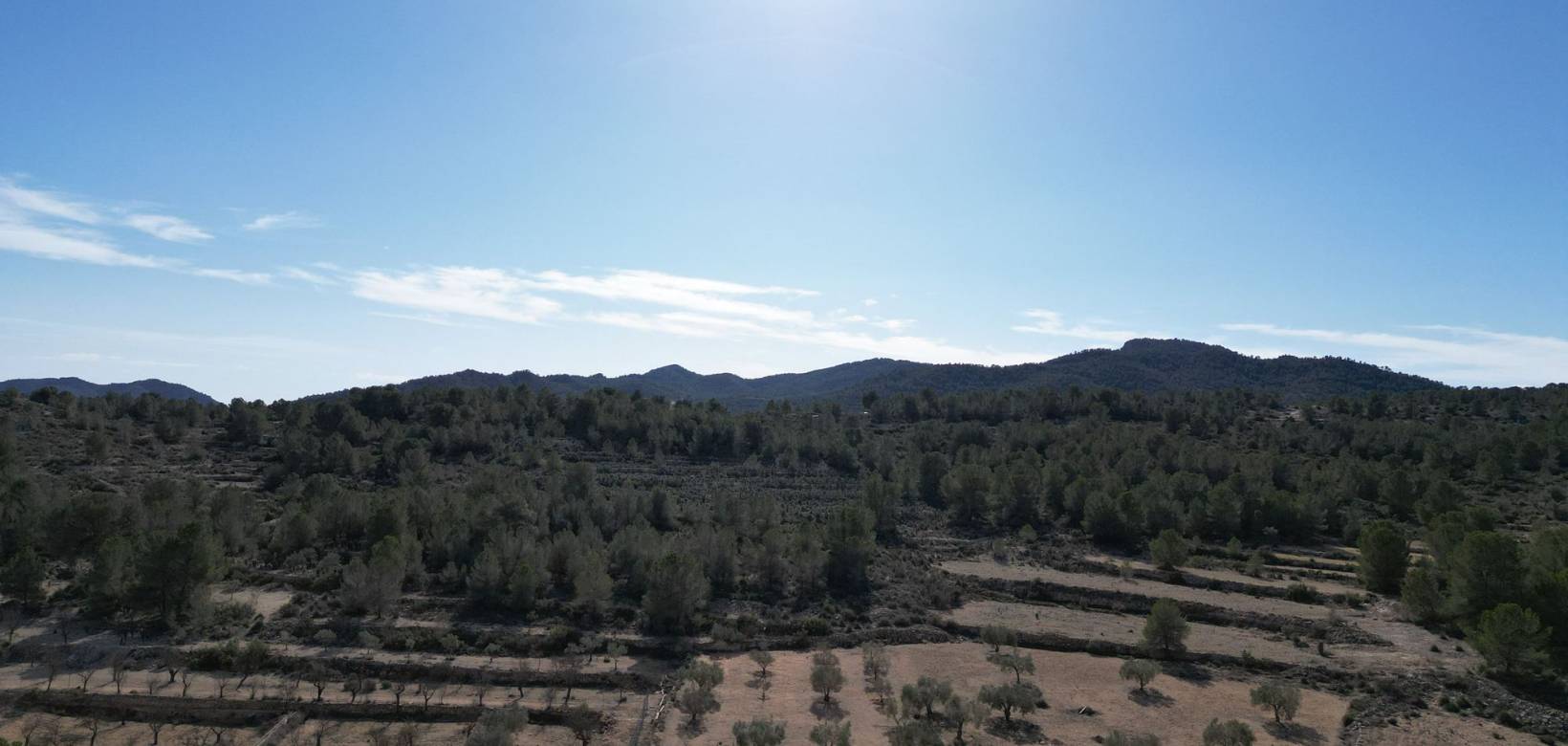 Venta - Grond - Monovar