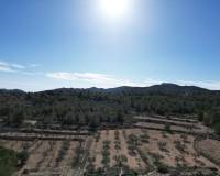 Venta - Grond - Monovar