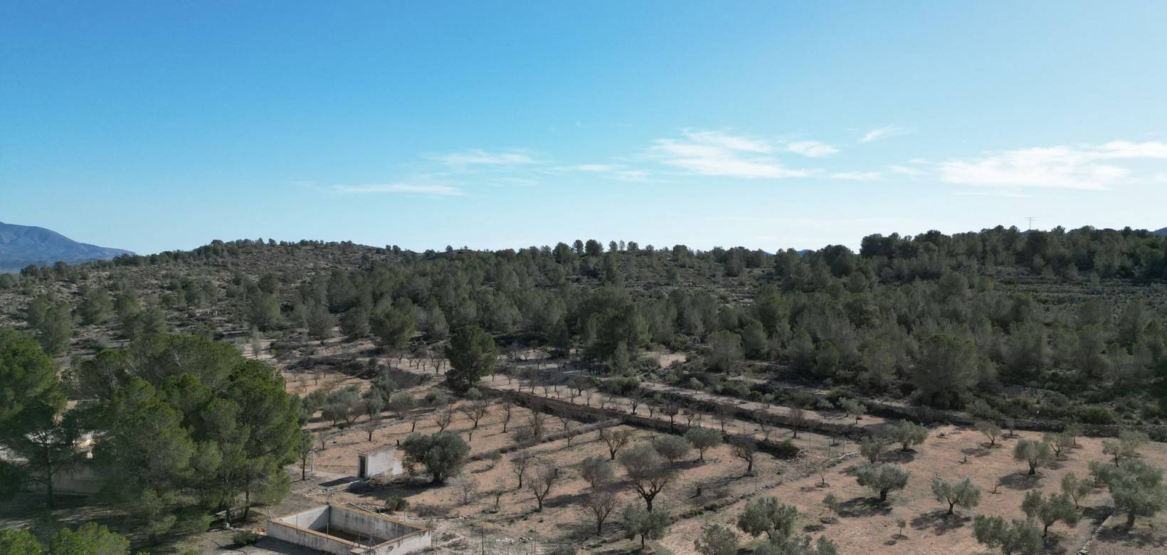 Venta - Grond - Monovar