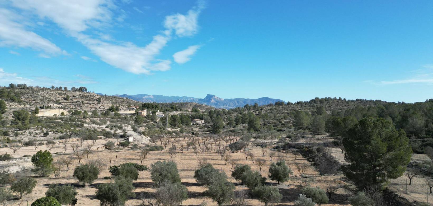 Venta - Grond - Monovar