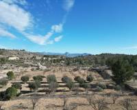 Venta - Grond - Monovar