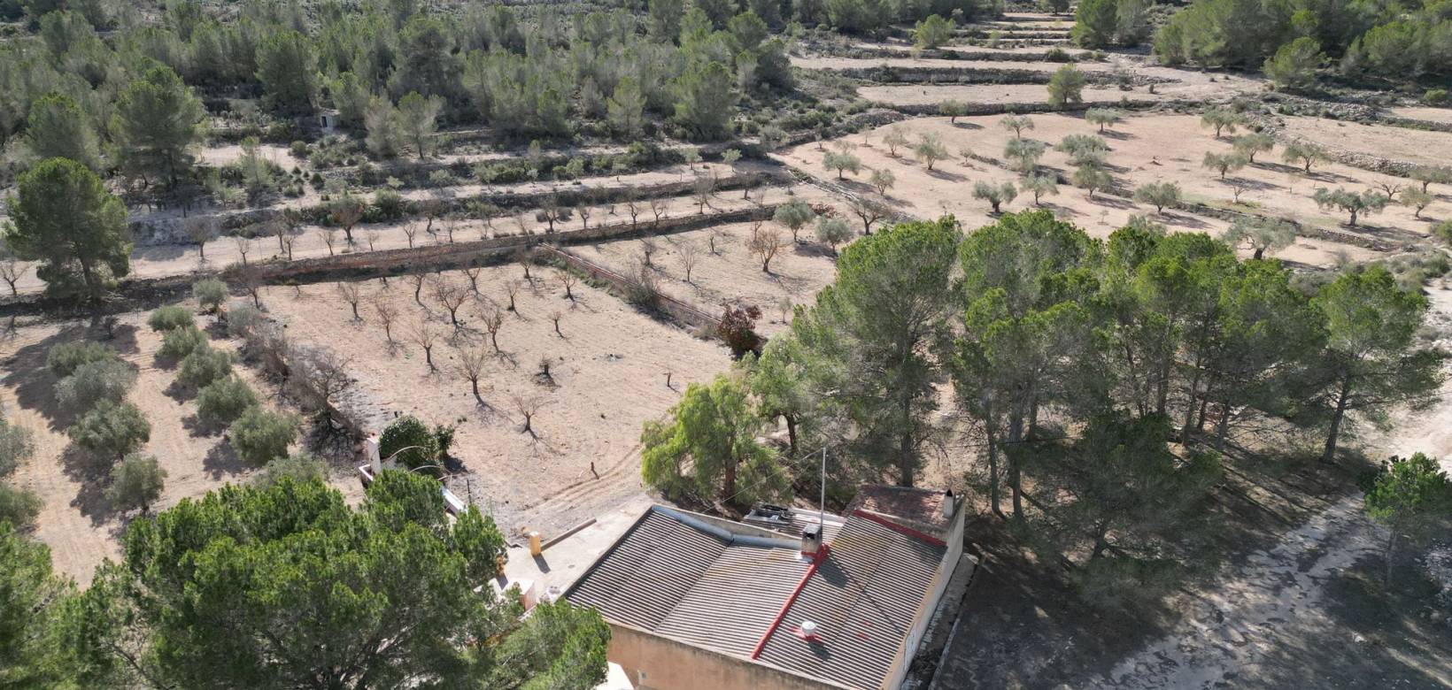 Venta - Grond - Monovar