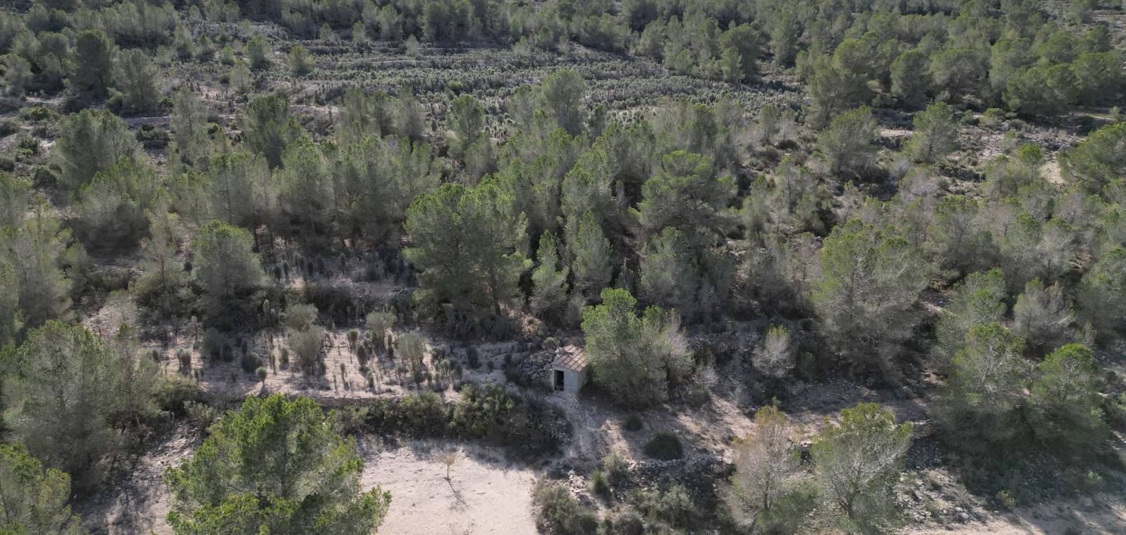 Venta - Grond - Monovar