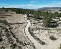 Venta - Grond - Monovar