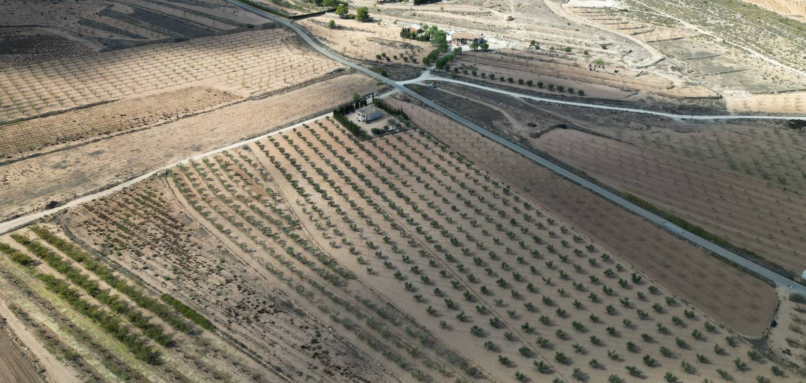Venta - Grond - Pinoso - Lel