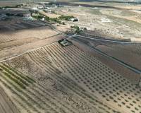 Venta - Grond - Pinoso - Lel