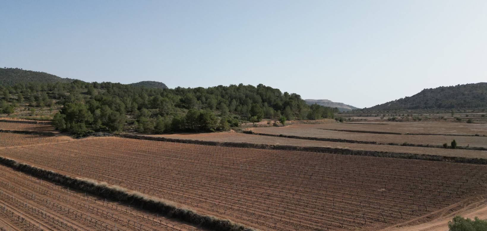 Venta - Grond - Pinoso