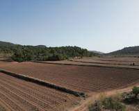 Venta - Grond - Pinoso