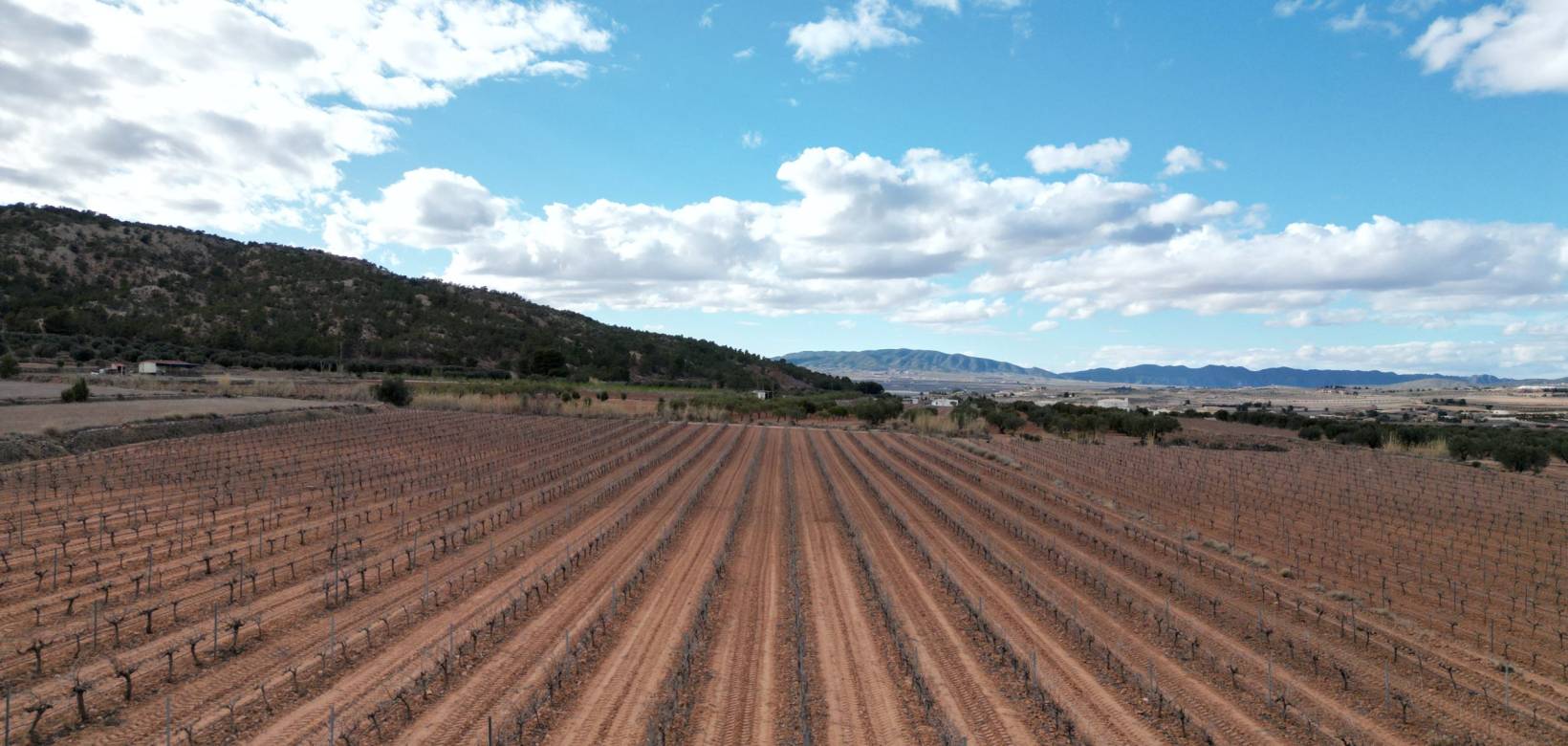 Venta - Grond - Pinoso