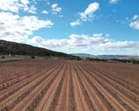 Venta - Grond - Pinoso