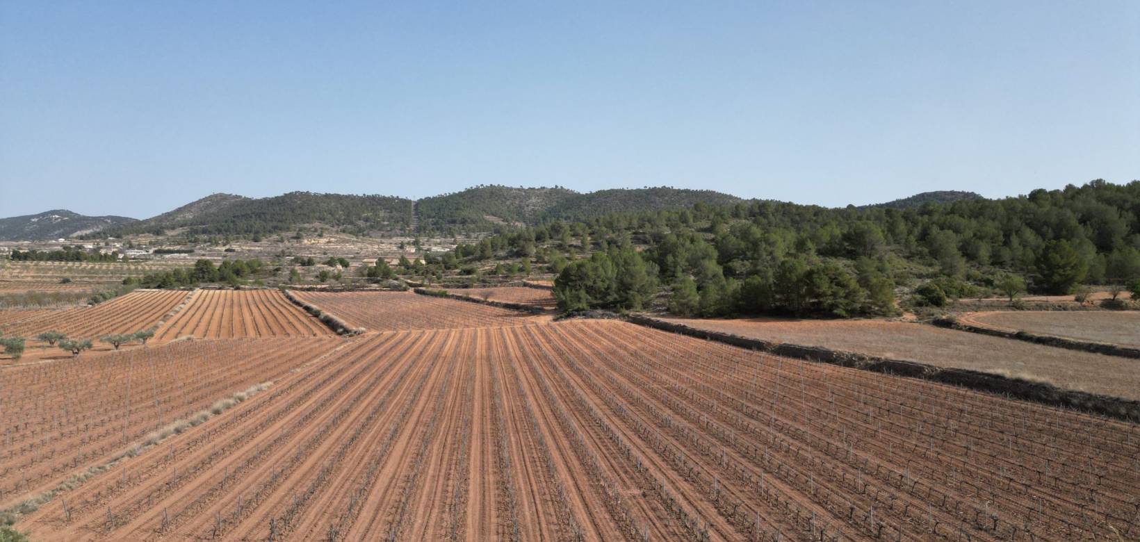 Venta - Grond - Pinoso