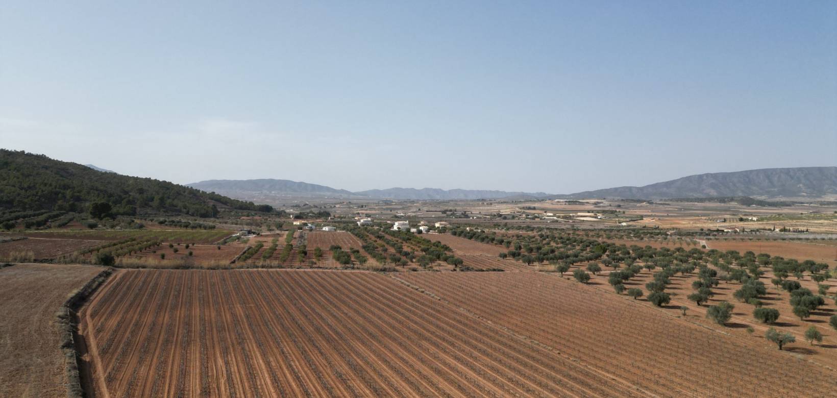 Venta - Grond - Pinoso