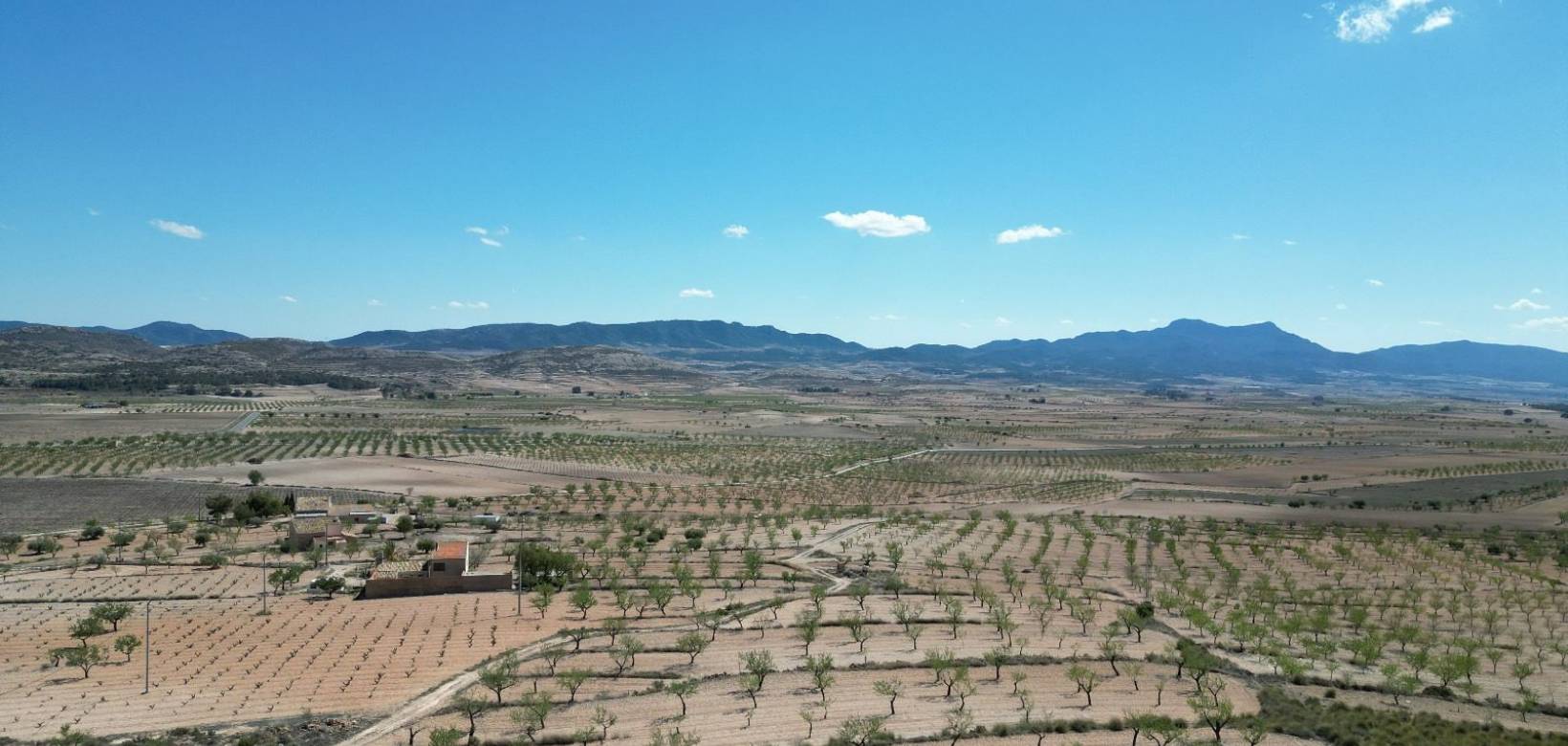 Venta - Grond - Pinoso