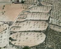 Venta - Grond - Pinoso