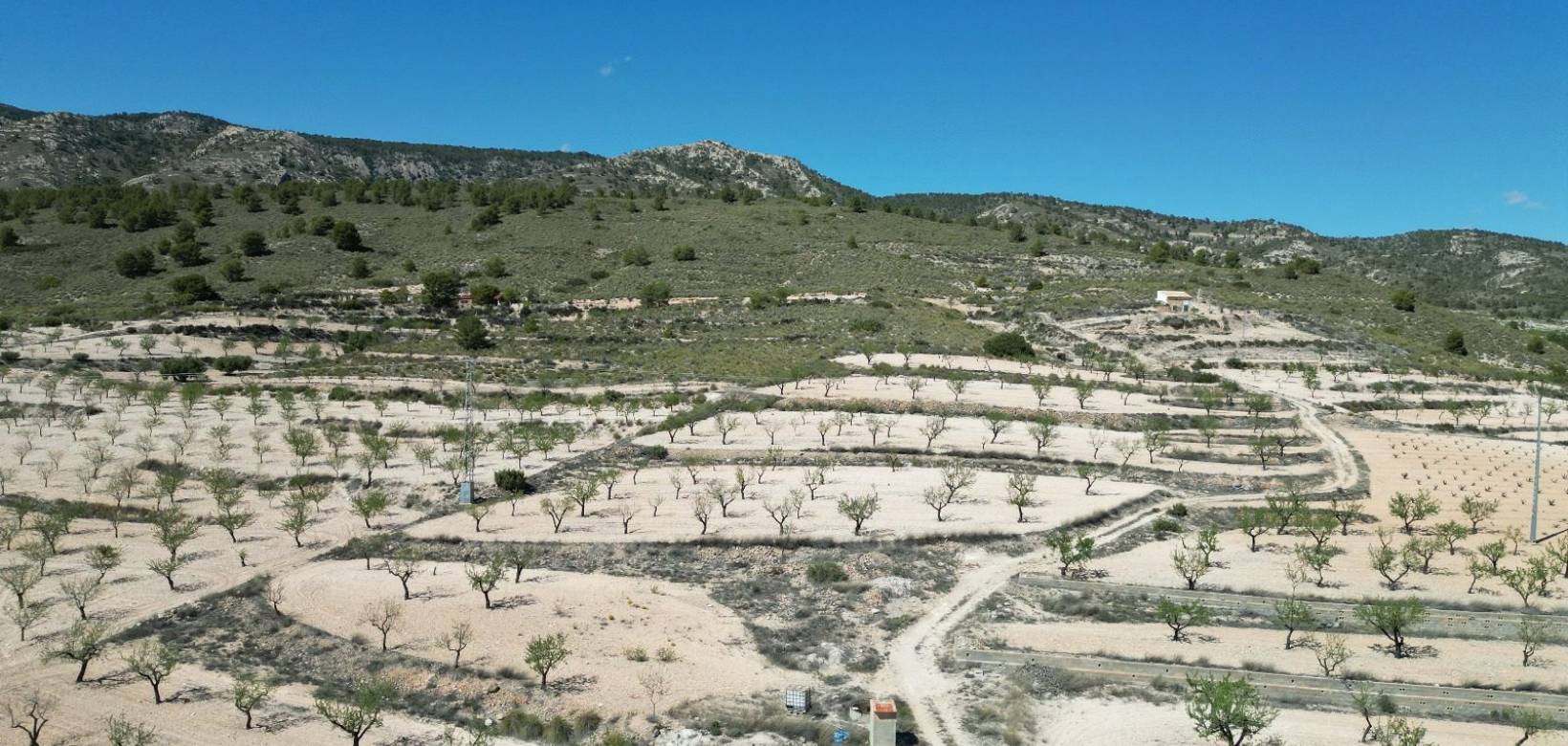 Venta - Grond - Pinoso