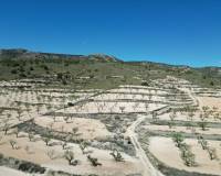 Venta - Grond - Pinoso