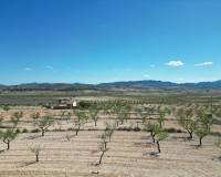 Venta - Grond - Pinoso