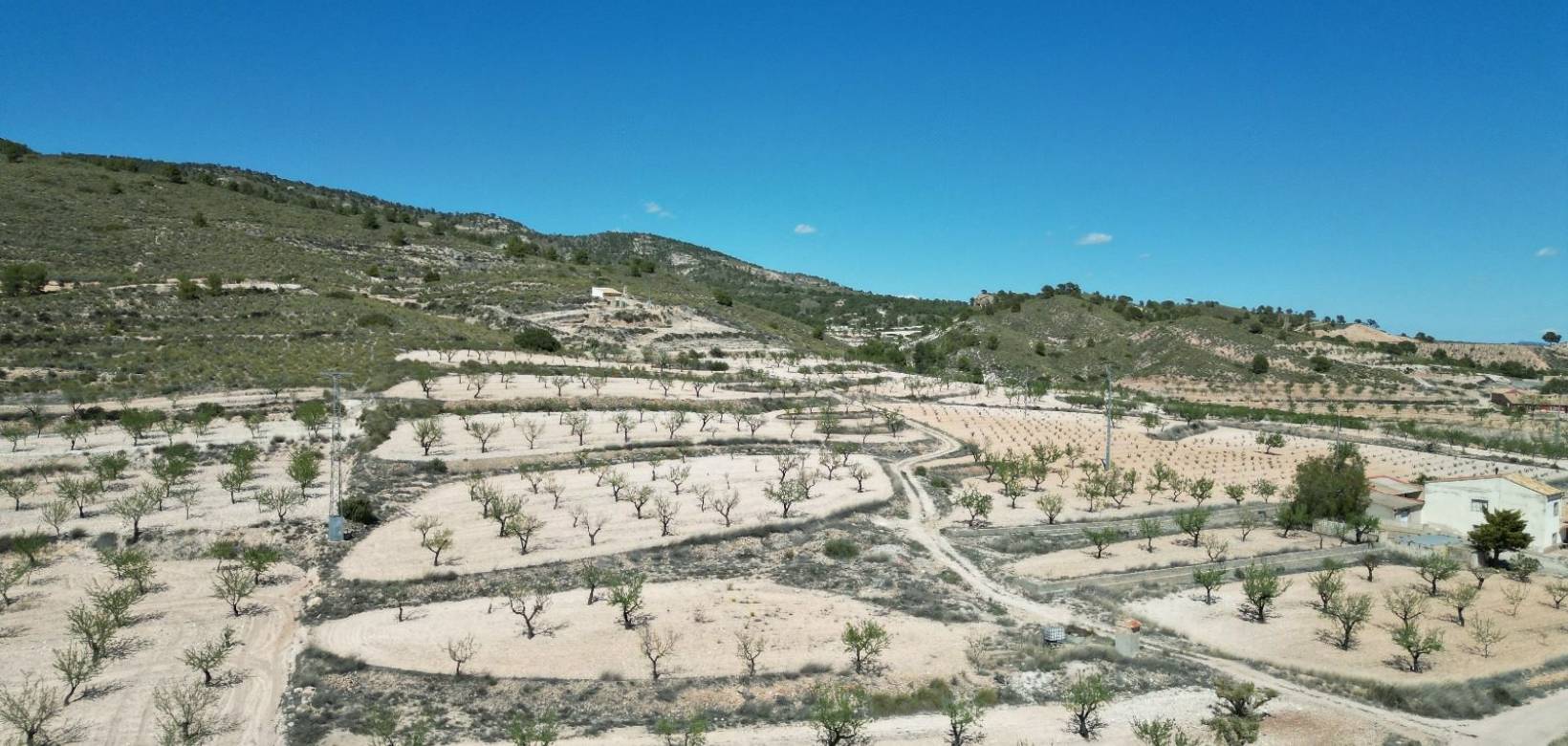 Venta - Grond - Pinoso