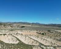 Venta - Grond - Pinoso