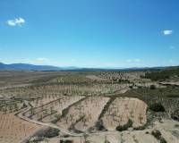 Venta - Grond - Pinoso