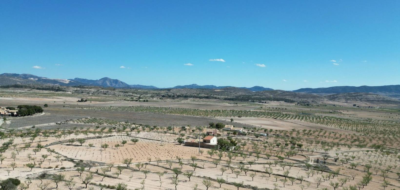 Venta - Grond - Pinoso