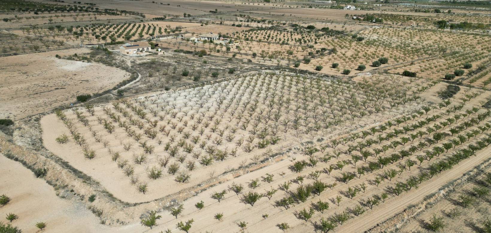 Venta - Grond - Pinoso