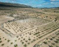 Venta - Grond - Pinoso