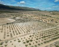 Venta - Grond - Pinoso